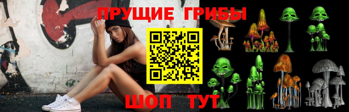 Псилоцибиновые грибы Magic Shrooms  Вход с VPN  Унеча 